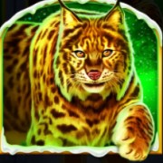 Símbolo do Tigre em Fire Blaze Golden: Lobo de Tundra